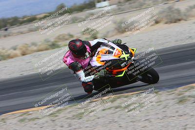 media/Mar-10-2024-SoCal Trackdays (Sun) [[6228d7c590]]/12-Turn 14 Inside (145pm)/